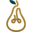 Golden Pear Funding OPCO LLC